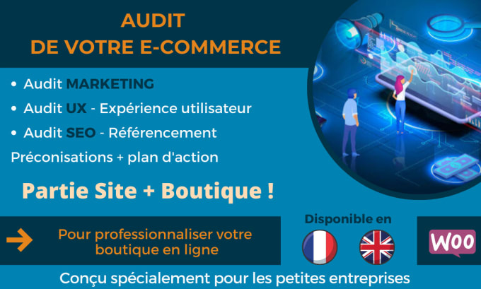 Gig Preview - Analyse your french webshop and give great marketing tips