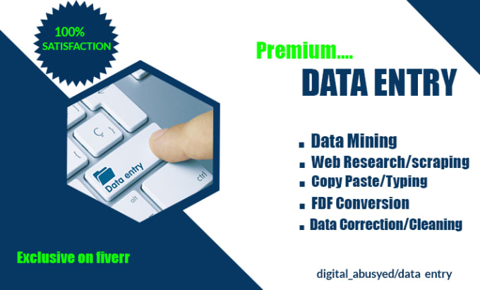 Gig Preview - Do fastest data entry job at low price