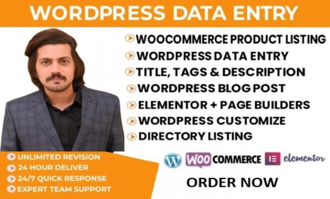 Gig Preview - Do wordpress data entry and woocommerce product listing