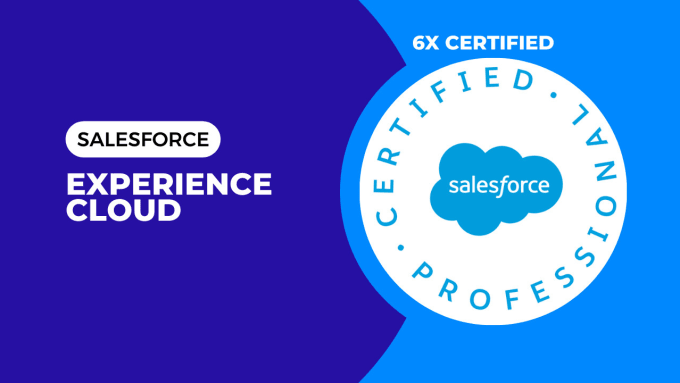 Gig Preview - Do salesforce experience cloud or community development