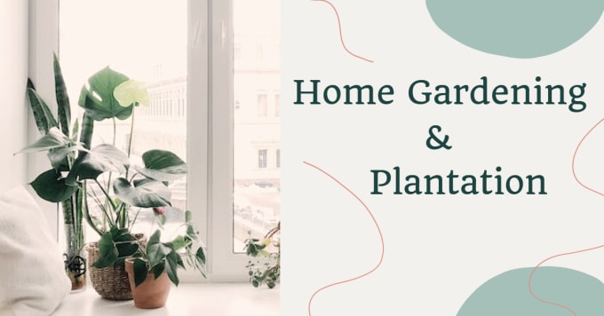 Gig Preview - Catchy articles and blogs on home gardening in 24 hours