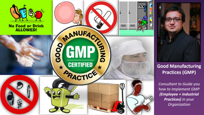 Gig Preview - Be consultant, auditor, implementer of cgmp for your company