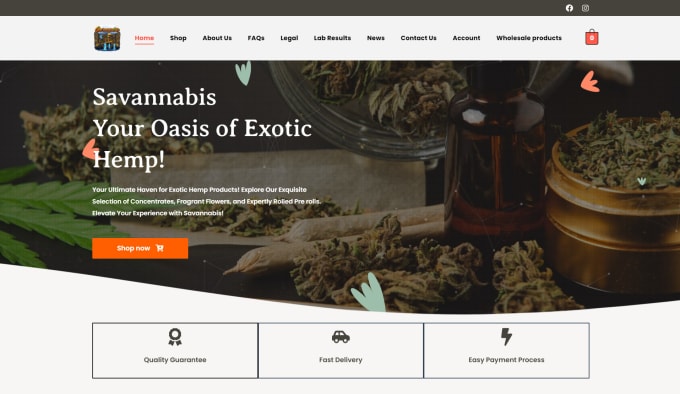 Gig Preview - Build medical or cannabis, weed, hemp, marijuana cbd ecommerce website