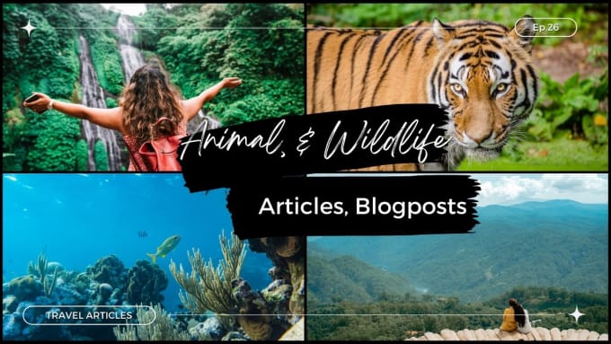 Gig Preview - Write an article or blog post about any animal and wildlife