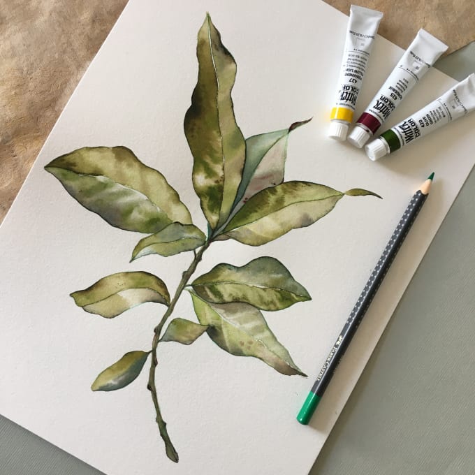 Bestseller - paint a watercolor botanical illustration of plants