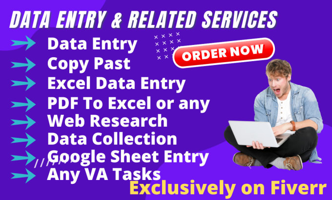 Gig Preview - Do data entry, web research, data mining and copy paste, any VA tasks