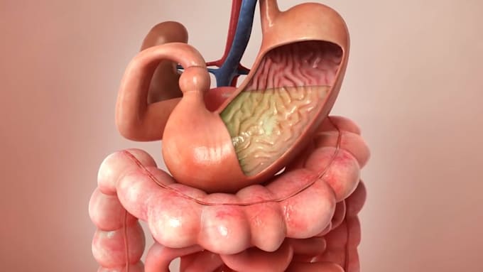 24 Best medical animation Services To Buy Online | Fiverr 24 Best medical animation Services To Buy Online | Fiverr