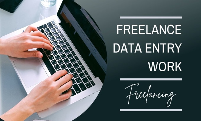 Gig Preview - Do accurate freelance data entry work