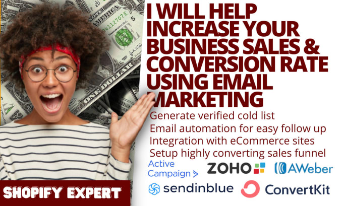 Gig Preview - Help you increase your business sales and conversion rate using email marketing