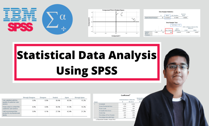 Gig Preview - Do statistical data analysis using spss