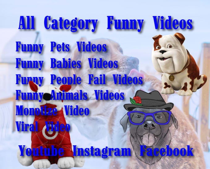 Gig Preview - Do free copyright funny viral videos for youtube and instagram