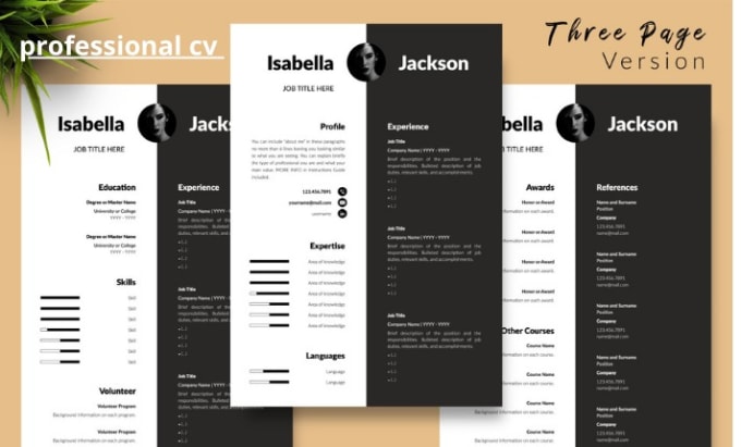 Gig Preview - Create a professional CV designs