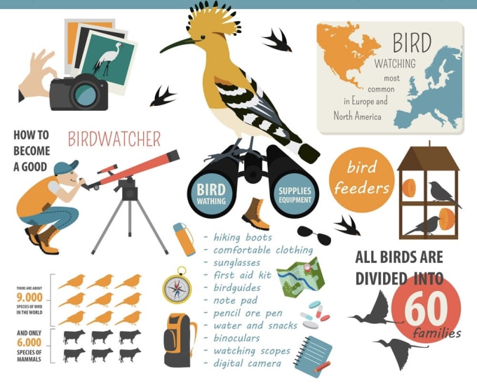 Gig Preview - Write engaging articles on birdwatching