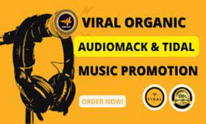 Gig Preview - Do viral audiomack music promotion