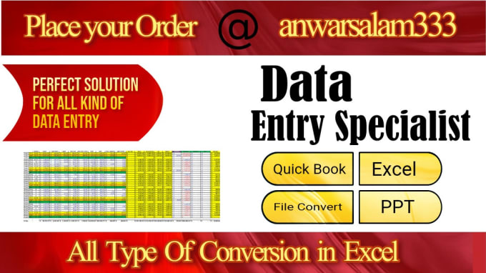 Gig Preview - Excel data entry, quick books data entry, data cleaning