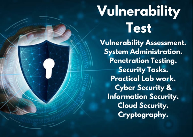 Gig Preview - Do a vulnerability test on your website or system