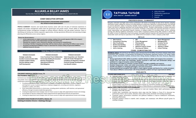 Bestseller - provide executive resume writing, resume design and cover letter service