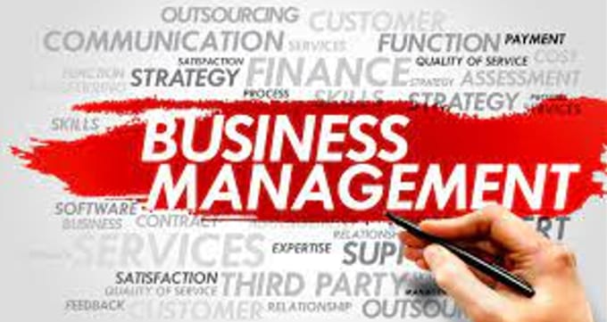 Gig Preview - Do business management tasks for you