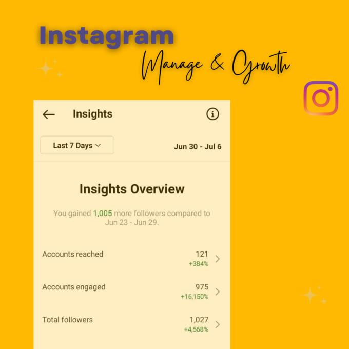 Gig Preview - Do instagram marketing for fast organic growth