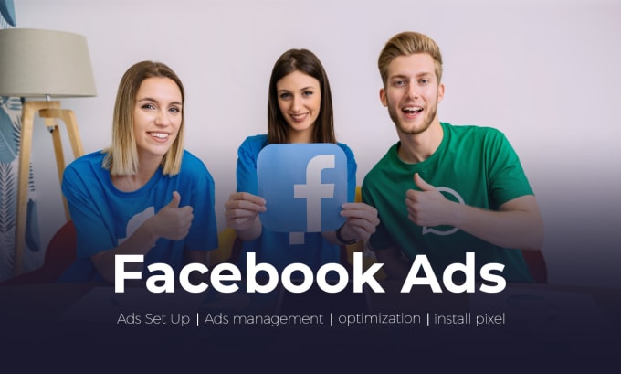 Gig Preview - Set up your facebook and instagram ad campaigns