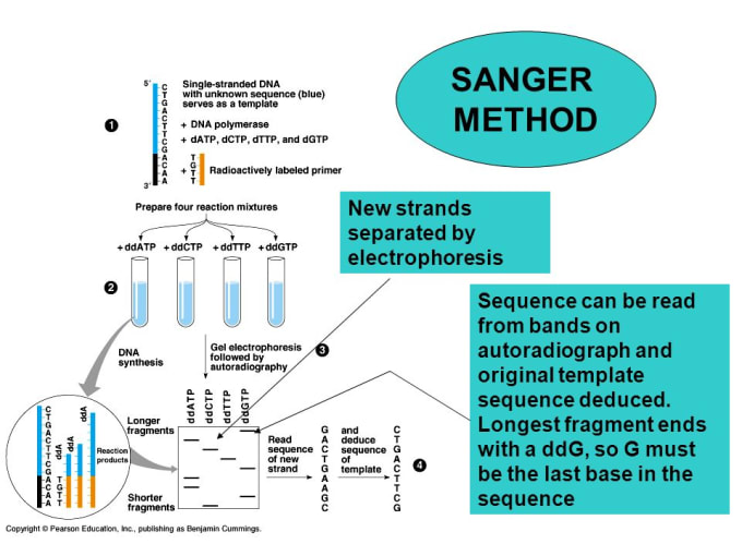 Gig Preview - Guide with hematology, pathology and biochemistry