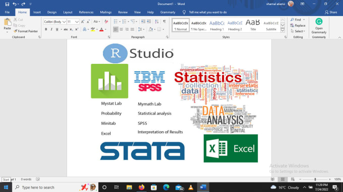 Gig Preview - Do any statistical analysis using stata, spss and excel