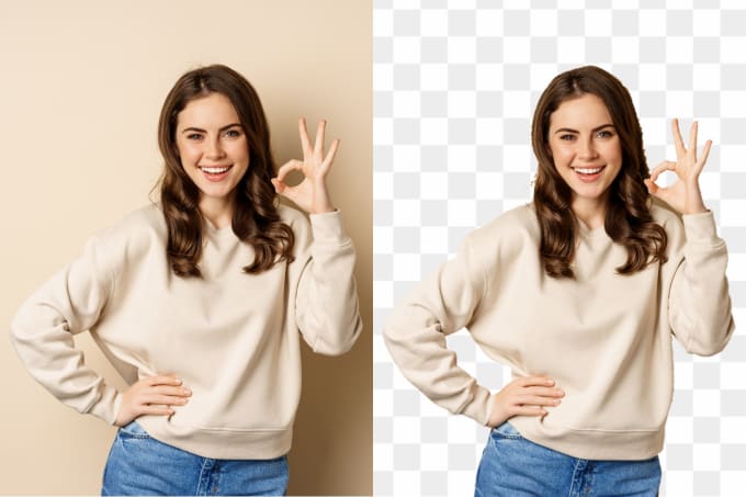 Gig Preview - Remove the background of your image