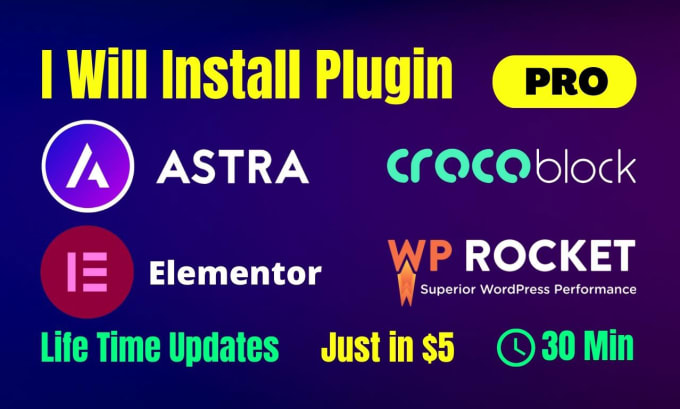 Gig Preview - Install elementor pro astra pro wp rocket crocoblock license