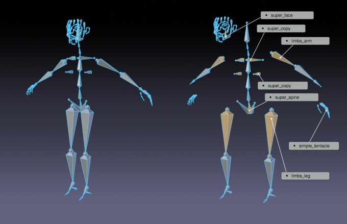 Gig Preview - Rig your 3dmodel in blender for games,animation using rigify