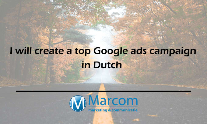 Gig Preview - Create a top google ads campaign in dutch