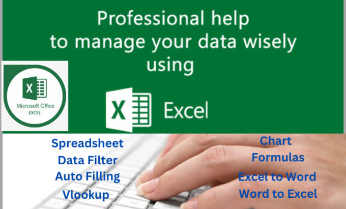 Gig Preview - Create custom excel spreadsheet, typing, word to excel