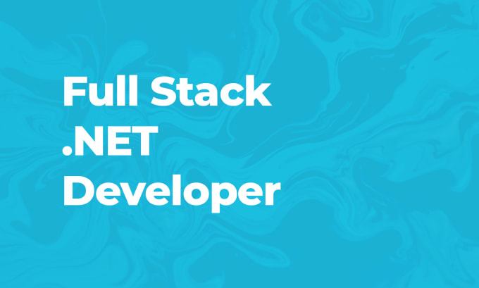 Gig Preview - Develop, build or maintain your dotnet web or API project