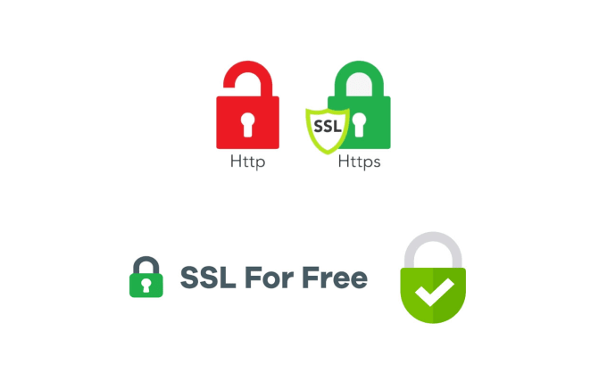 Gig Preview - Install ssl certificate on wordpress website