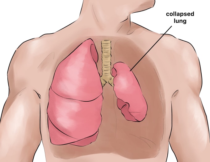 Gig Preview - Draw anatomy and medical science illustration