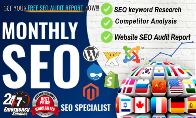 Gig Preview - Offer monthly SEO service for google top rankings