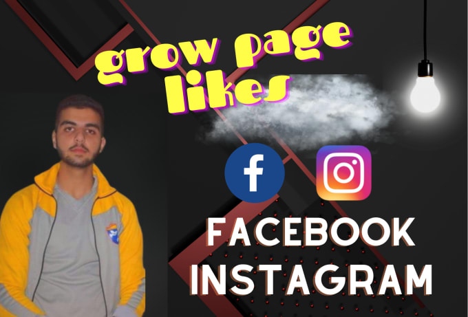 Gig Preview - Grow facebook page likes rapidly through fb ads