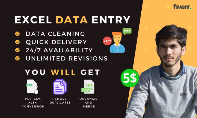 Gig Preview - Clean, organize, merge and format excel and CSV data