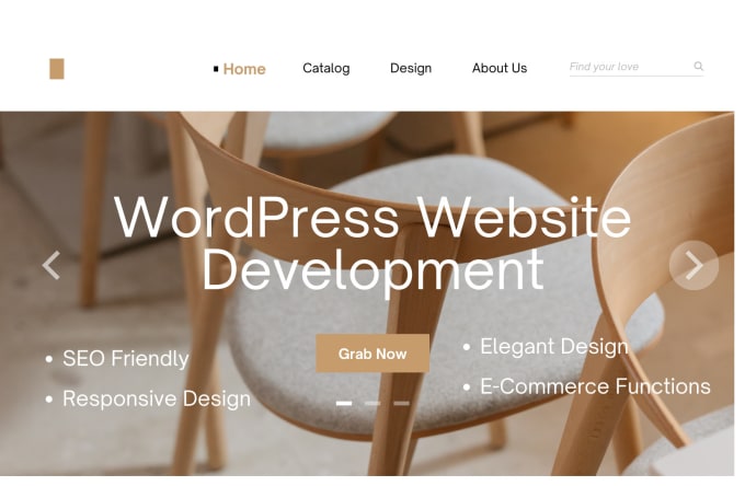 Gig Preview - Design custom wordpress website and web development