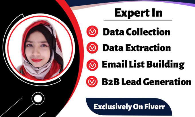 Gig Preview - B2b lead generation, data collection and email list building