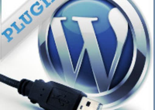 Gig Preview - Create new or configure, modify any wordpress plugins, integrations 15 yrs exp