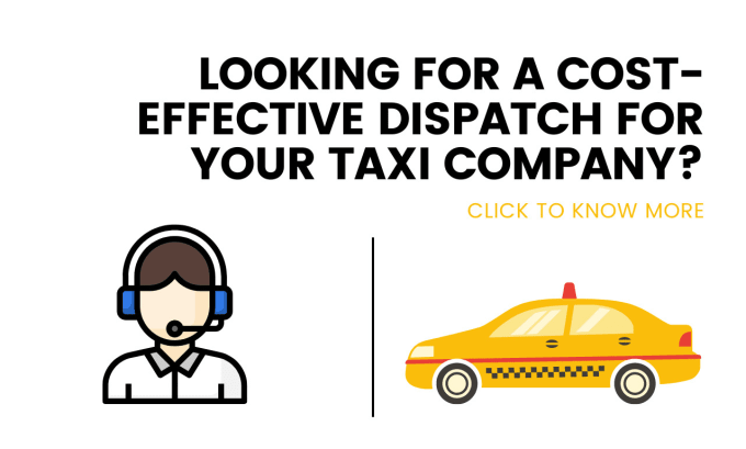 Gig Preview - Make and handle the dispatch team for your taxi company