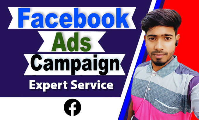 Gig Preview - Set up your facebook ads campaign and manage the ads manager