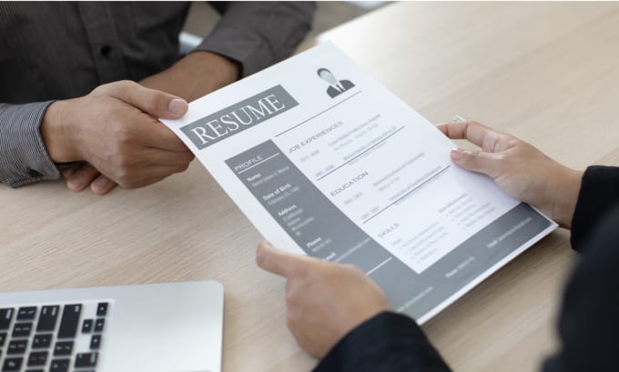 Gig Preview - Provide best resume writing services