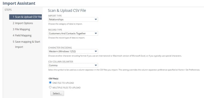 Gig Preview - Import netsuite CSV records