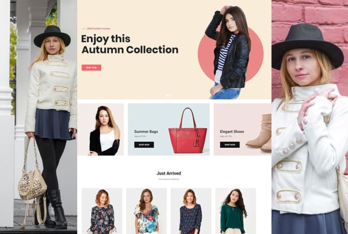 Gig Preview - Build a shopify fashion store or shopify clothing website