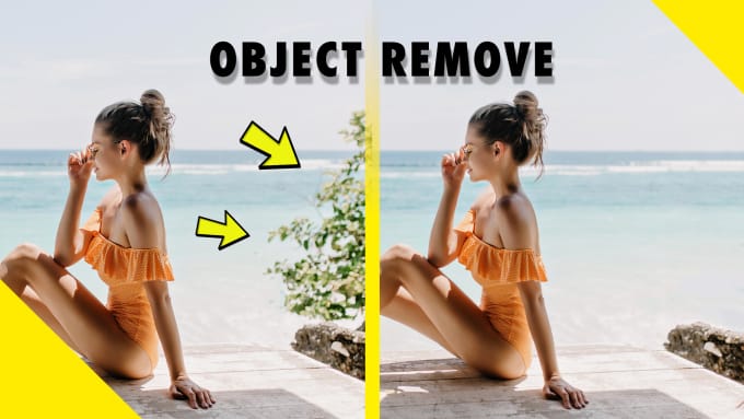 Gig Preview - Remove any object or people from your photos