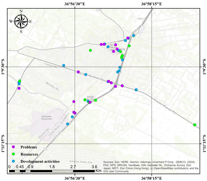 Gig Preview - Do professional maps that meet your needs