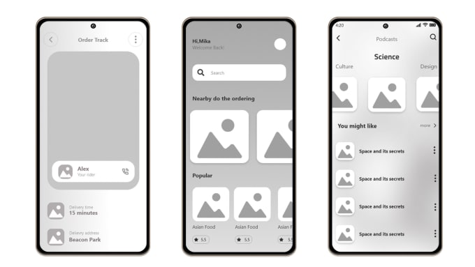 Gig Preview - Make detailed UI and UX wireframes for your mobile application