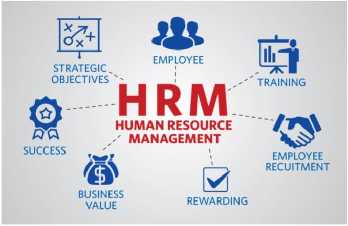 Bestseller - do human resource management and strategies research