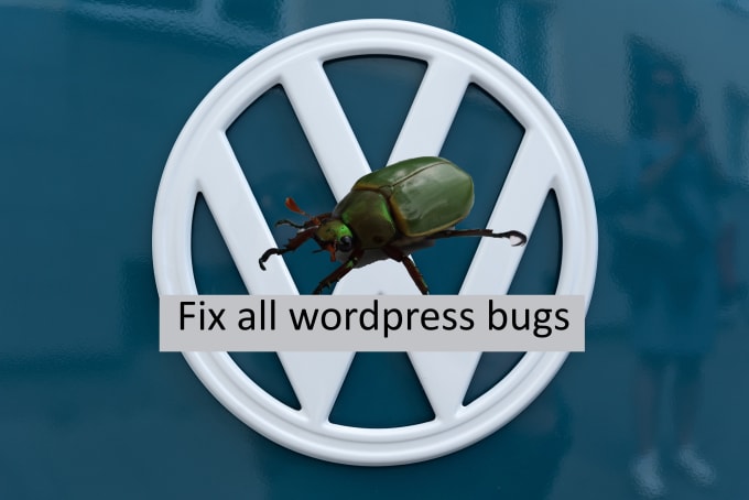 Gig Preview - Fix all wordpress bugs just perfect